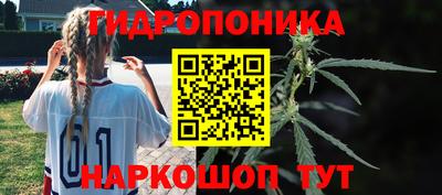 2c-b Обь
