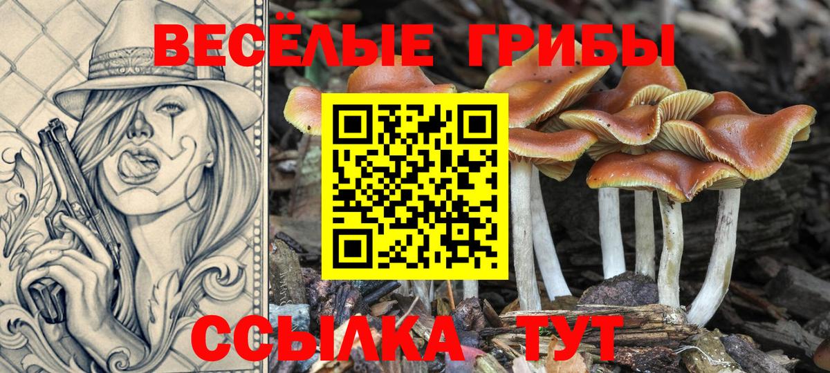 Псилоцибиновые грибы Magic Shrooms Протвино