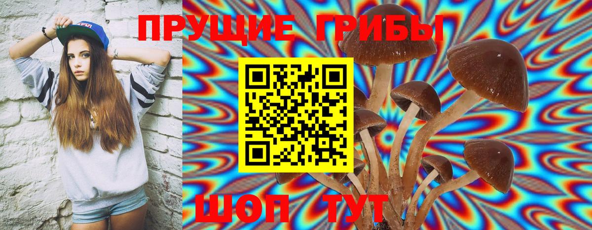 Псилоцибиновые грибы мухоморы  Галлюциногенные грибы мухоморы  Вход с VPN  где найти наркотики  Протвино 